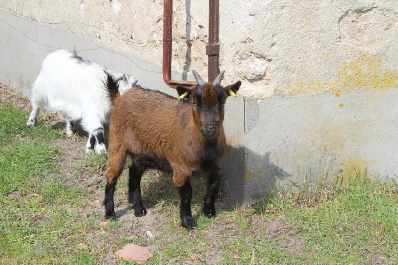 Ferme des Poulardieres Crouy-sur-Cosson Extérieur photo