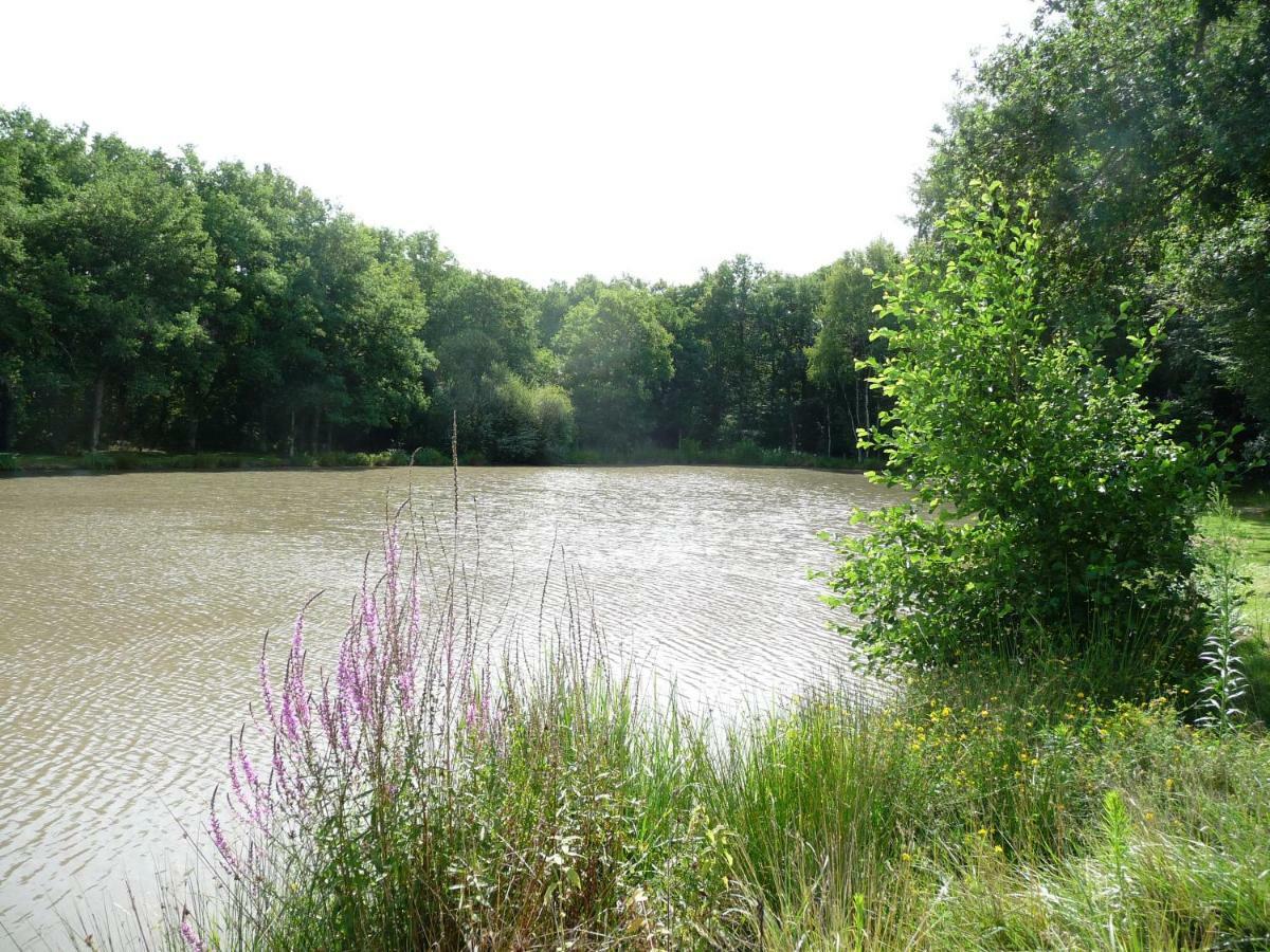 Villa Ferme des Poulardieres à Crouy-sur-Cosson Extérieur photo