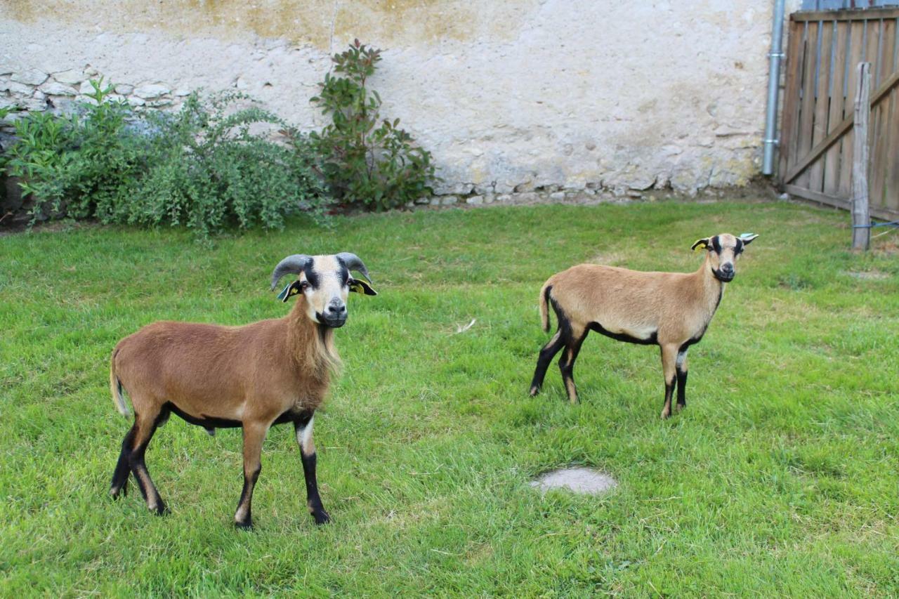 Villa Ferme des Poulardieres à Crouy-sur-Cosson Extérieur photo